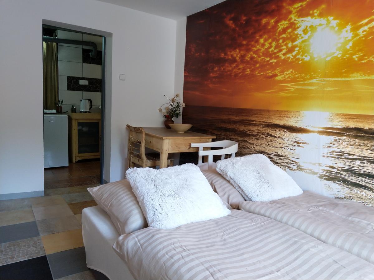 Apartmany Sharka -Sarka Justrova เดชชิน ภายนอก รูปภาพ